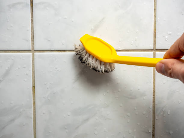 Best Attic Mold Removal  in Gordon, NE