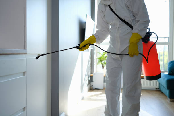 Best Crawl Space Mold Removal  in Gordon, NE